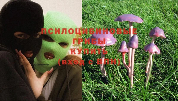 круглые Алексеевка
