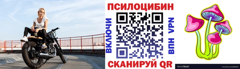 omg ссылка  Павловская  Галлюциногенные грибы прущие грибы 