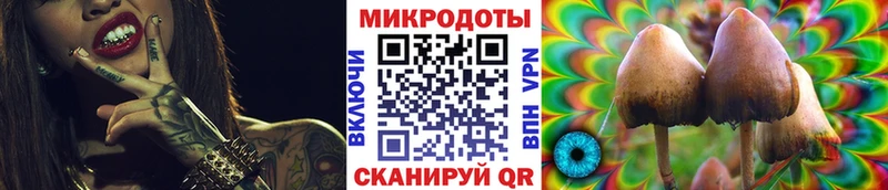 Галлюциногенные грибы GOLDEN TEACHER Павловская